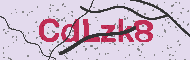 Captcha認証コード